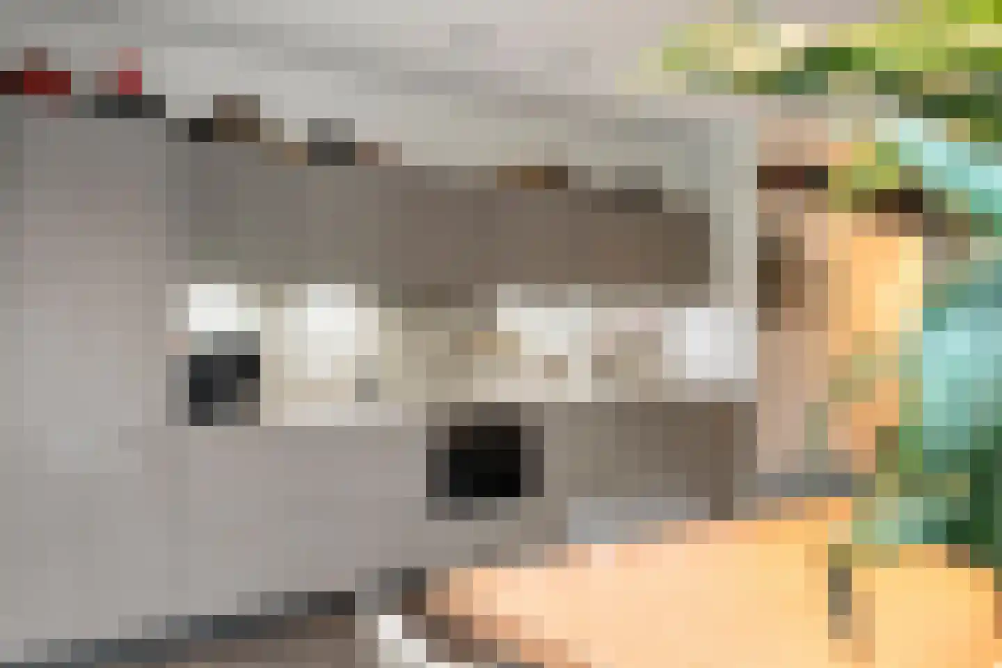 Paterslaan 23 Rosmalen thumbnail 6