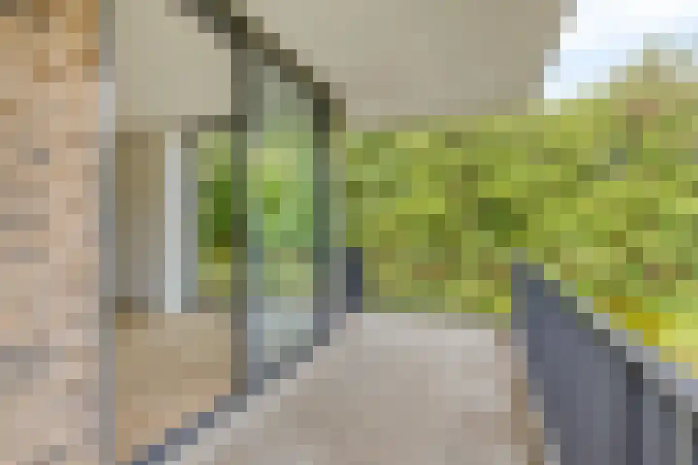 Paterslaan 3 Rosmalen thumbnail 13