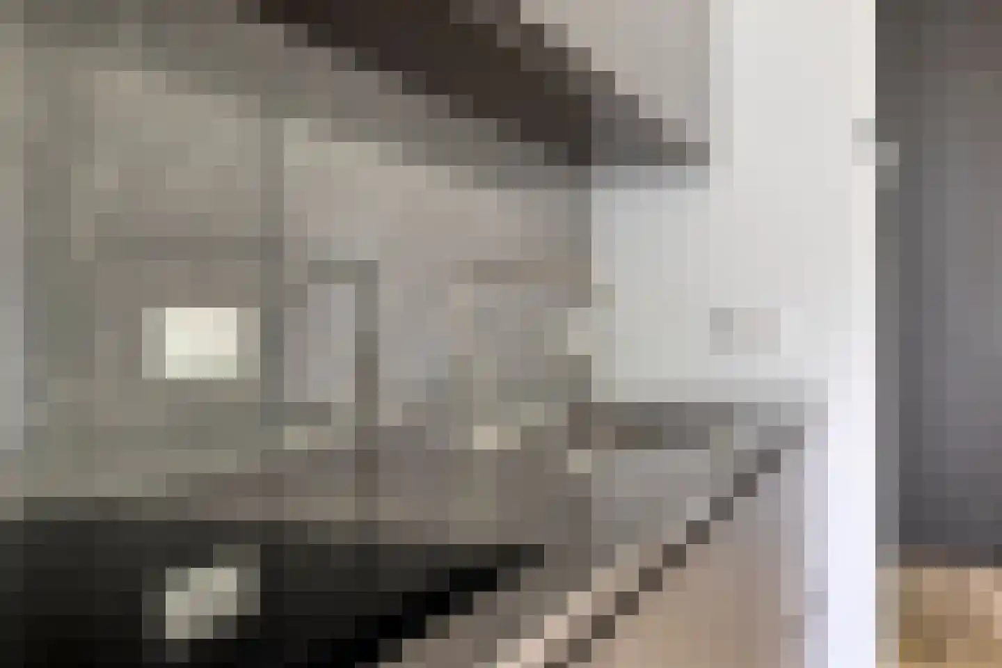 Paterslaan 3 Rosmalen thumbnail 20