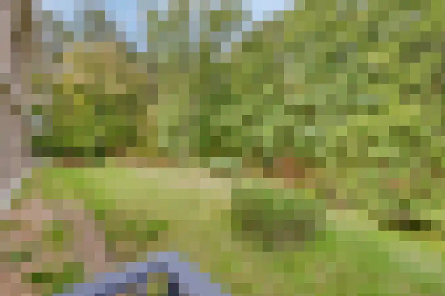 Paterslaan 3 Rosmalen thumbnail 32