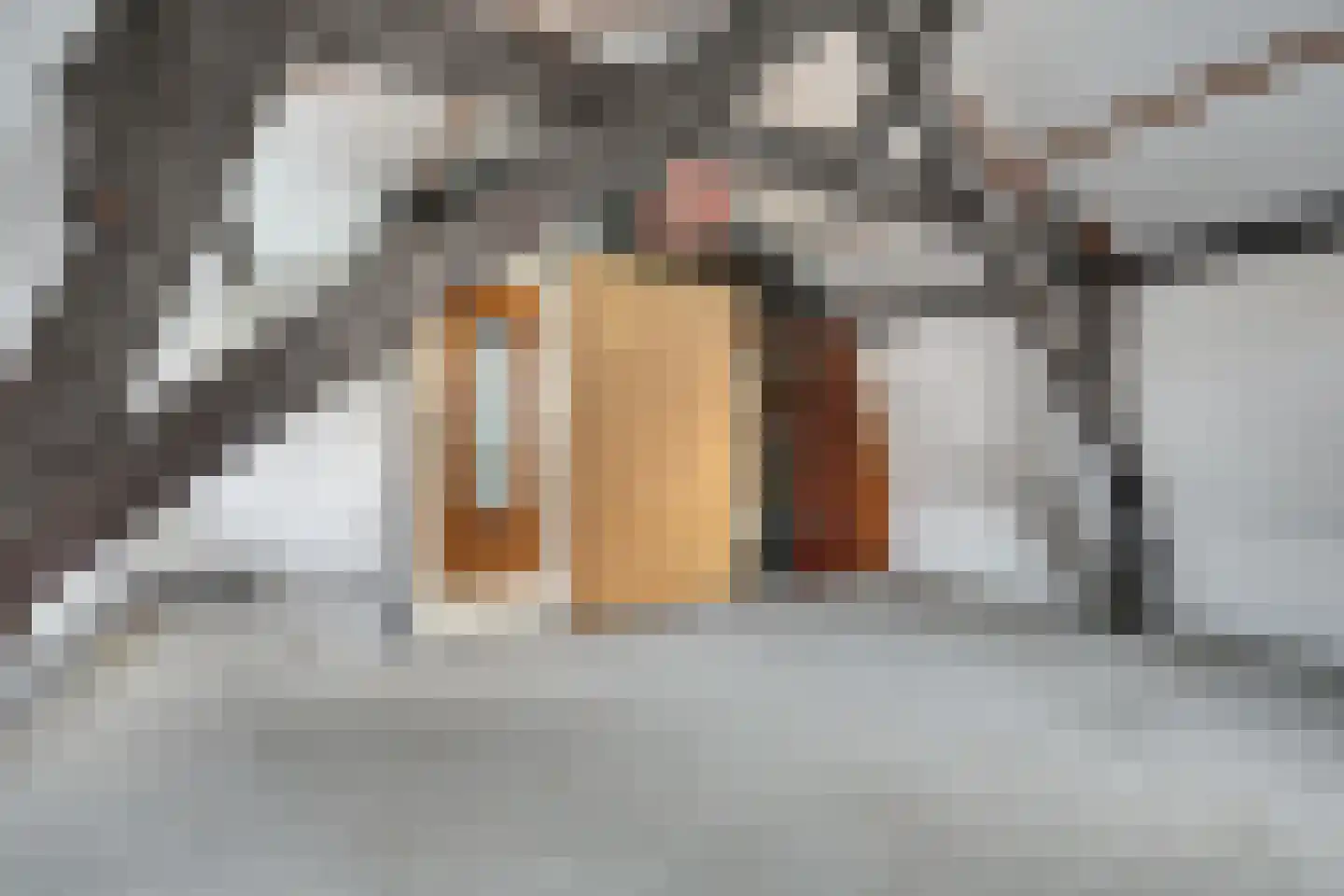 Paterslaan 30 Venray thumbnail 32