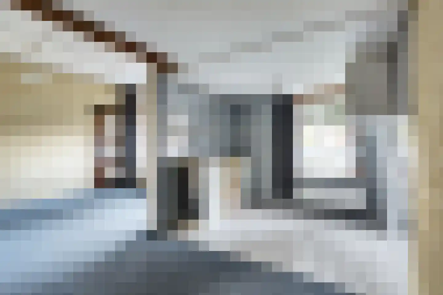 Paterslaan 30 Venray thumbnail 35
