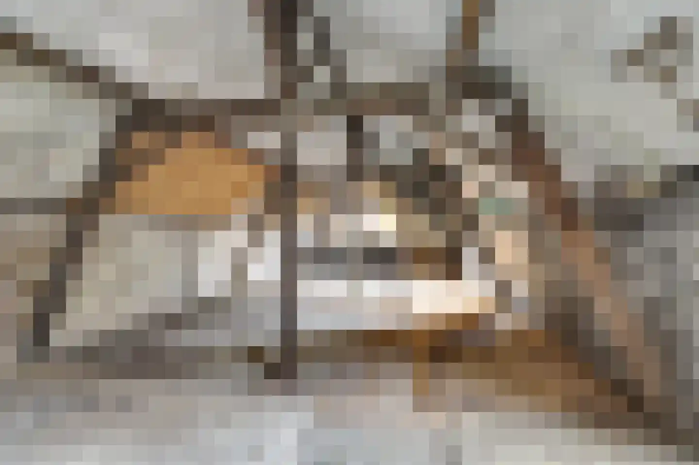 Paterslaan 30 Venray thumbnail 37