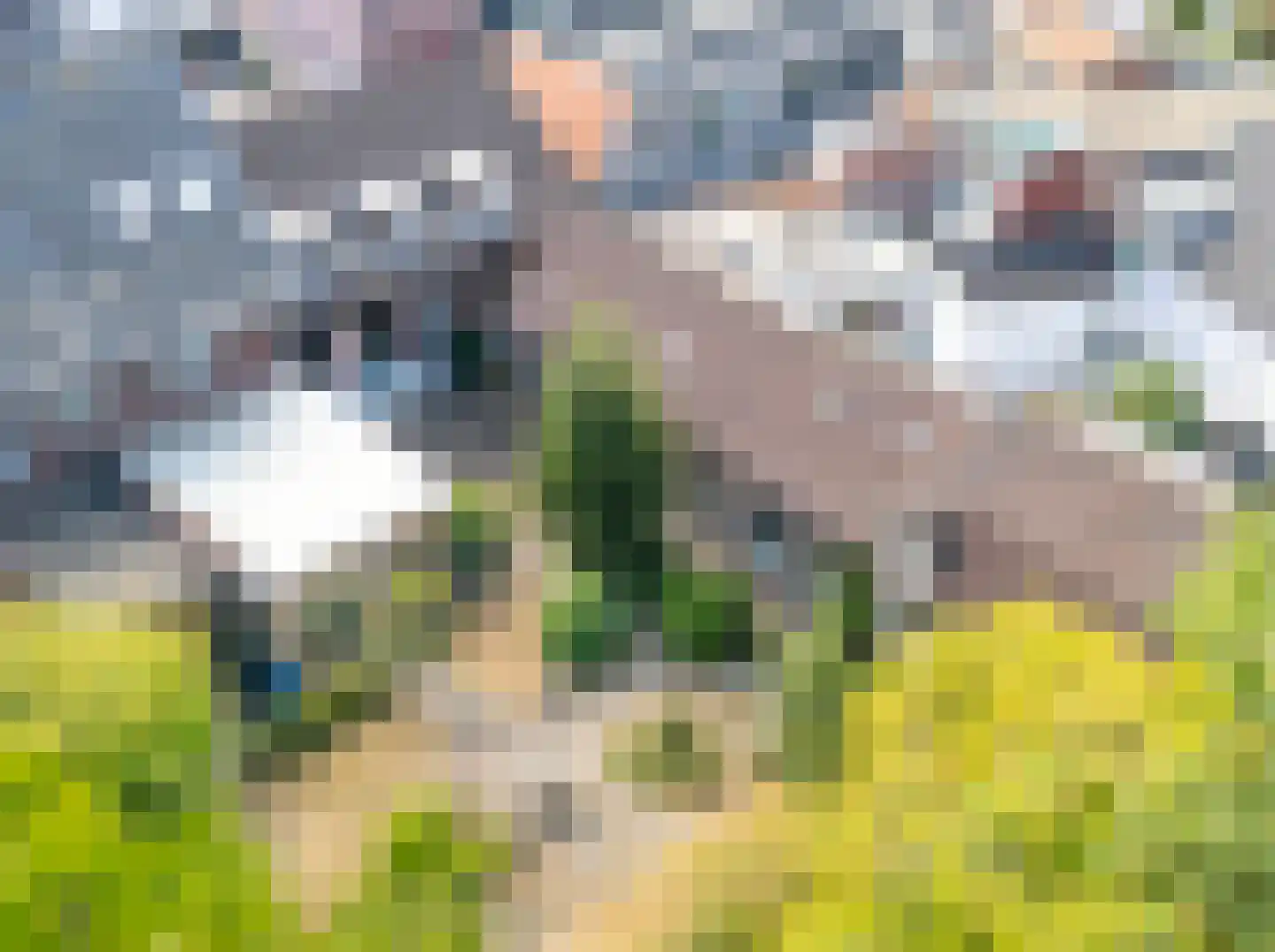 Paterslaan 30 Venray thumbnail 7