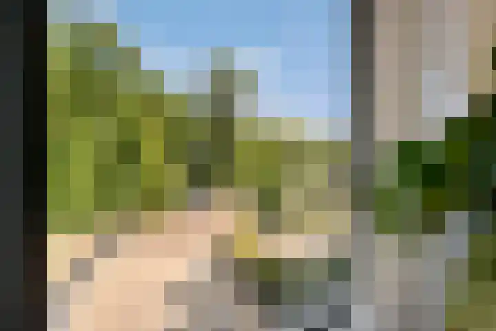 Paterslaan 41 Rosmalen thumbnail 14