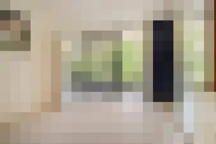 Paterslaan 41 Rosmalen thumbnail 22