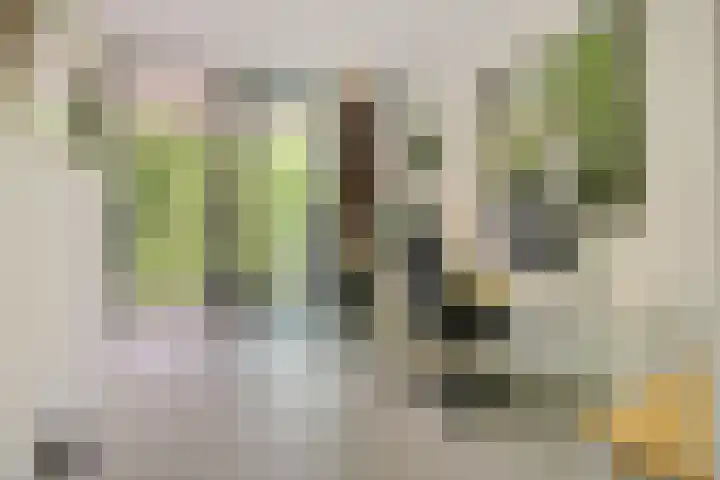 Paterslaan 41 Rosmalen thumbnail 28