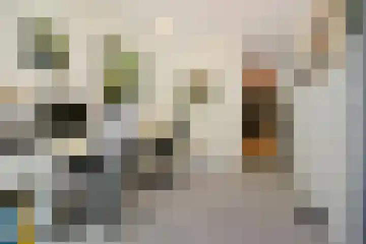 Paterslaan 41 Rosmalen thumbnail 29