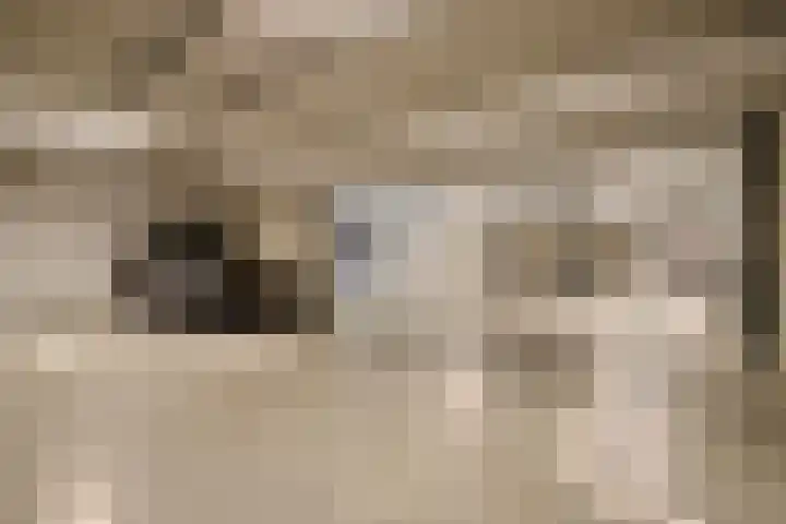 Paterslaan 41 Rosmalen thumbnail 30