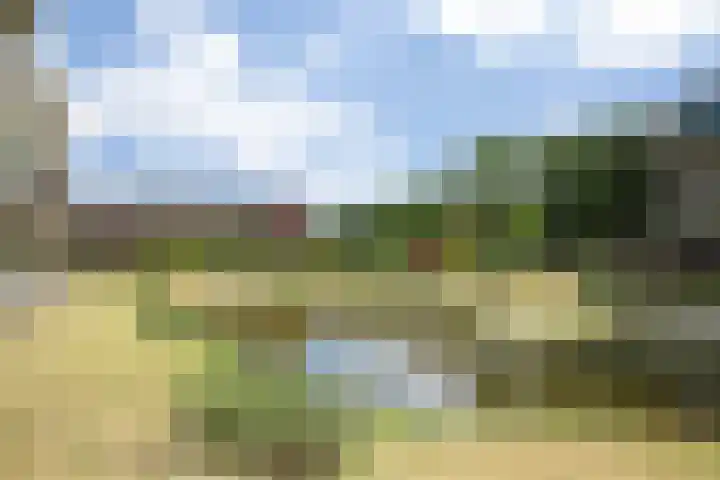 Paterslaan 41 Rosmalen thumbnail 34