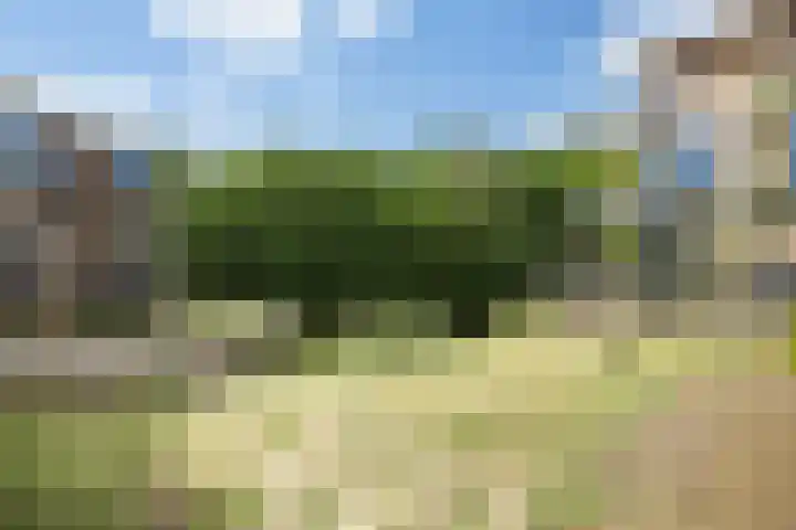 Paterslaan 41 Rosmalen thumbnail 35