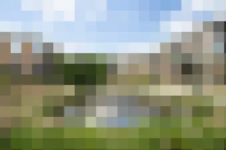 Paterslaan 41 Rosmalen thumbnail 36
