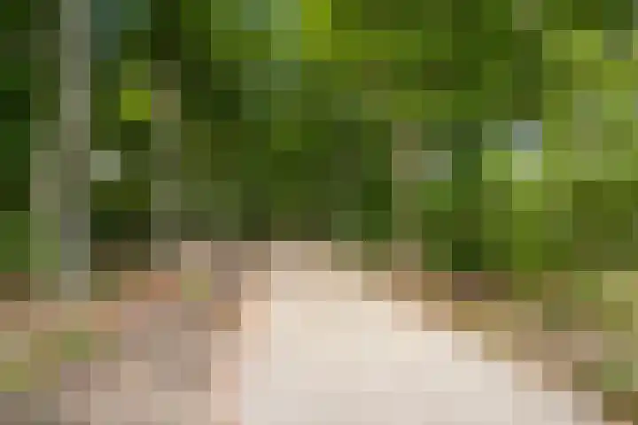 Paterslaan 41 Rosmalen thumbnail 39