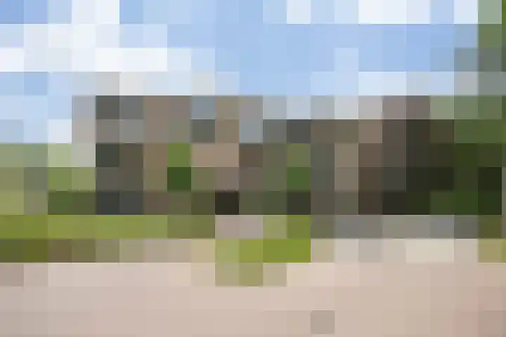 Paterslaan 41 Rosmalen thumbnail 7