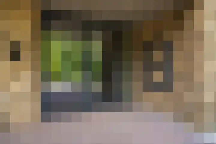 Paterslaan 41 Rosmalen thumbnail 8