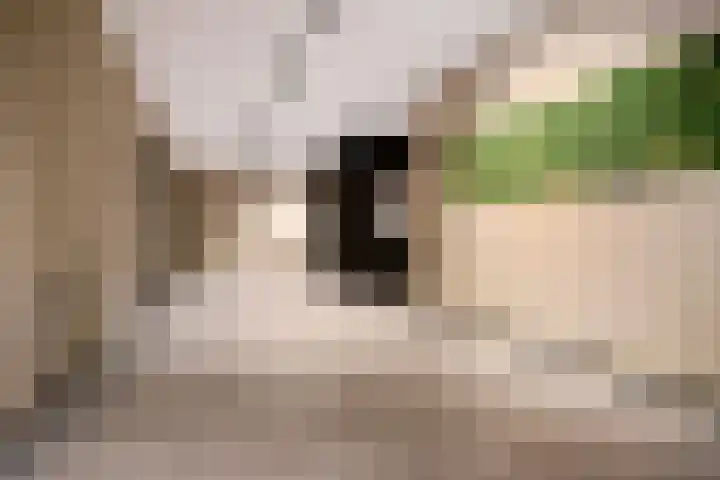 Paterslaan 41 Rosmalen thumbnail 9