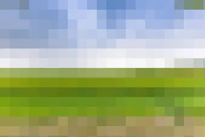 Paterslaan 43 Gasselternijveenschemond thumbnail 32