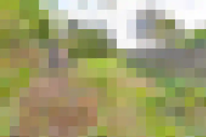 Paterslaan 43 Gasselternijveenschemond thumbnail 5