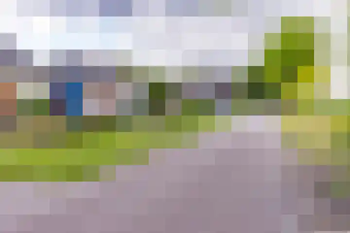 Paterslaan 43 Gasselternijveenschemond thumbnail 8