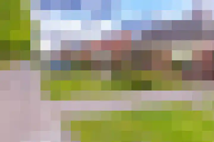 Paterslaan 43 Gasselternijveenschemond thumbnail 9