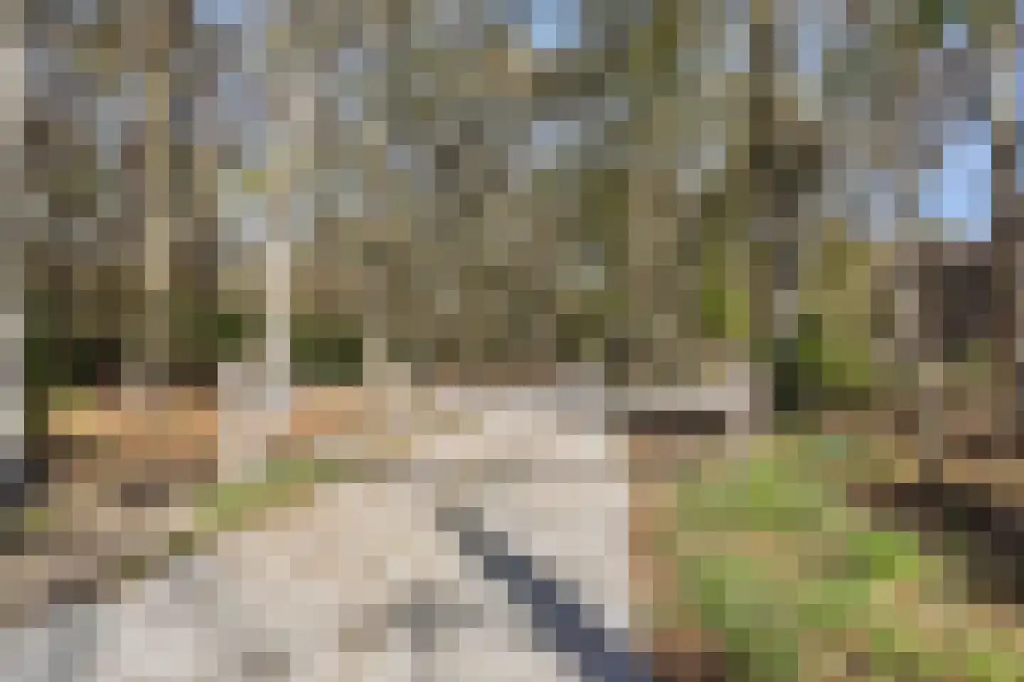 Paterslaan 44 Rosmalen thumbnail 38