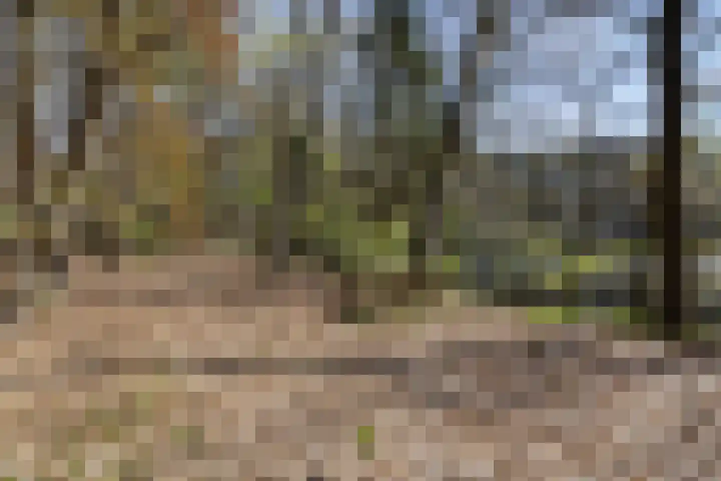 Paterslaan 44 Rosmalen thumbnail 39