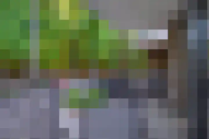 Paterslaan 5 A Rosmalen thumbnail 24
