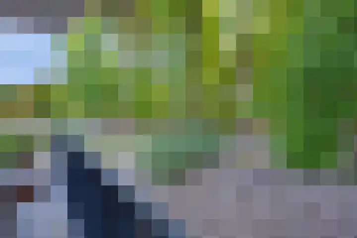 Paterslaan 5 A Rosmalen thumbnail 25