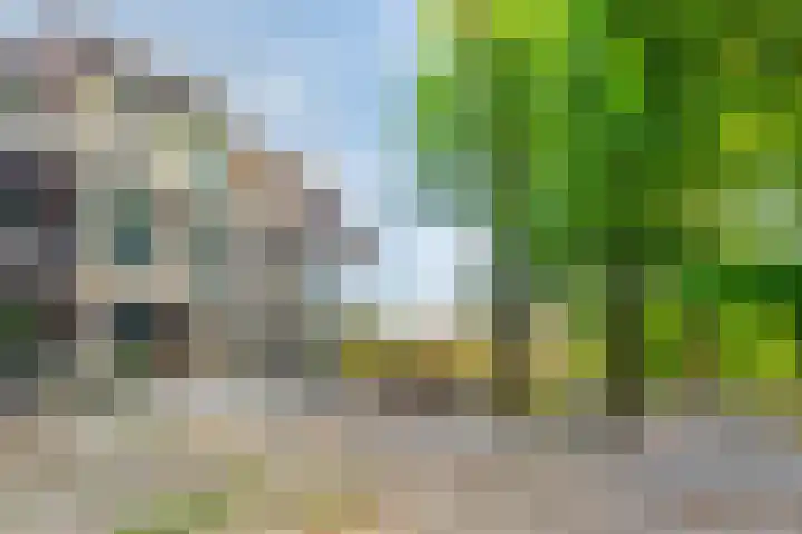 Paterslaan 5 A Rosmalen thumbnail 28