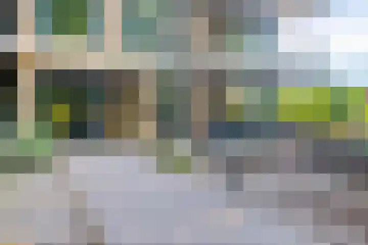 Paterslaan 5 A Rosmalen thumbnail 29
