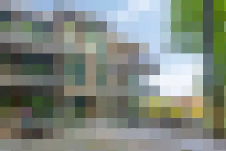 Paterslaan 5 A Rosmalen thumbnail 30