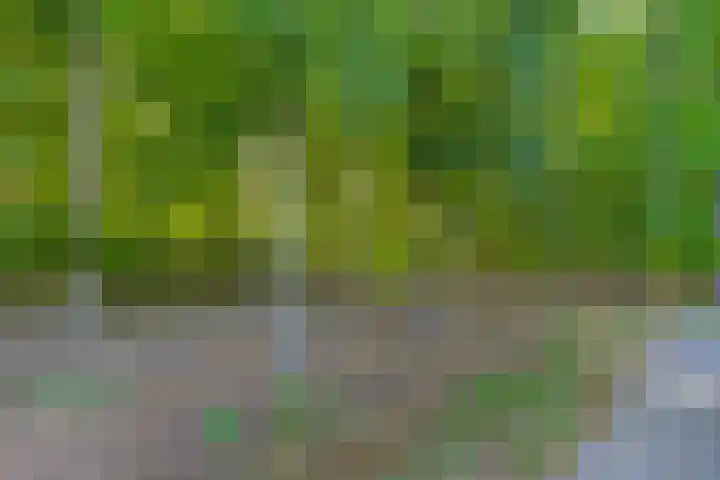 Paterslaan 5 A Rosmalen thumbnail 33
