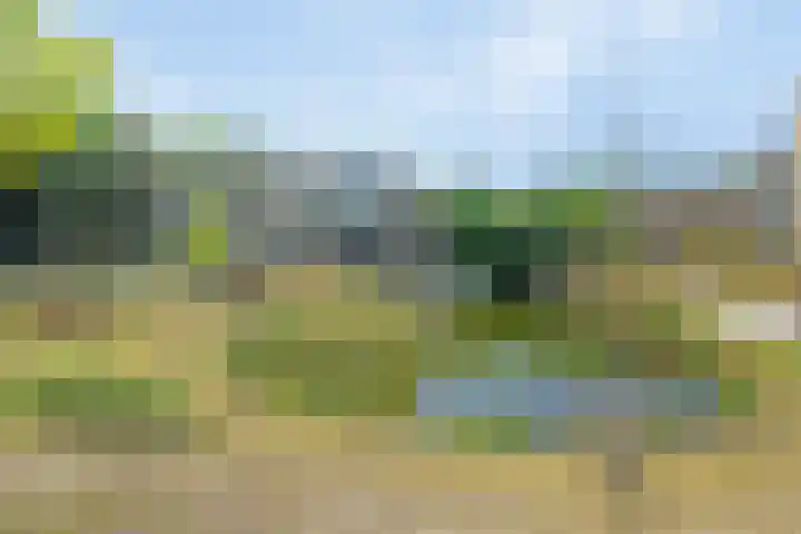 Paterslaan 5 A Rosmalen thumbnail 34