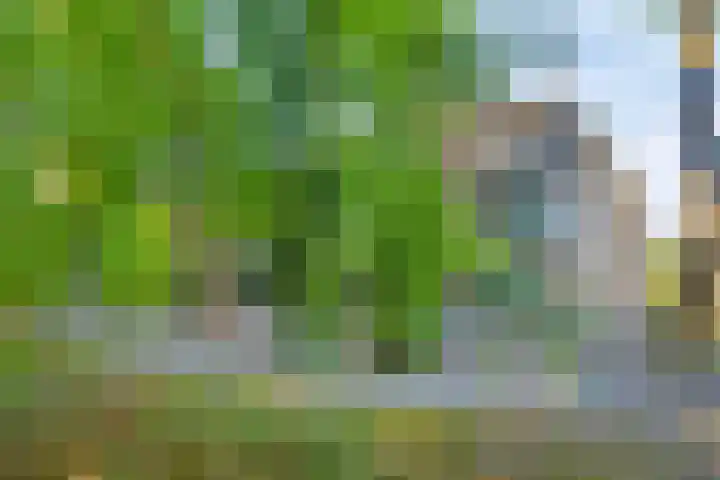 Paterslaan 5 A Rosmalen thumbnail 35