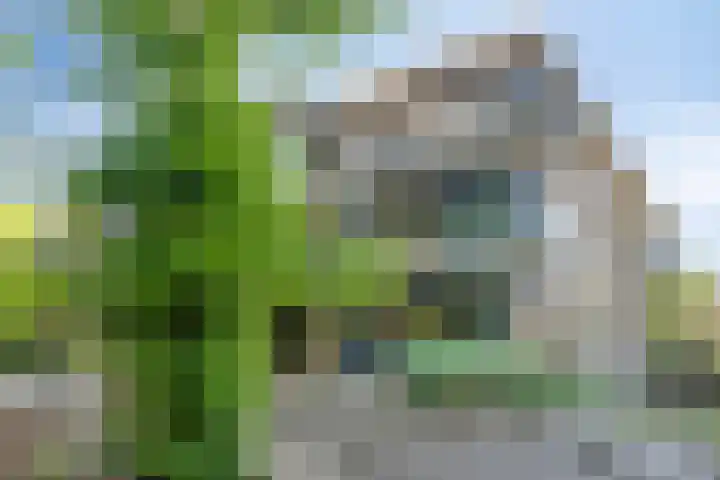 Paterslaan 5 A Rosmalen thumbnail 38