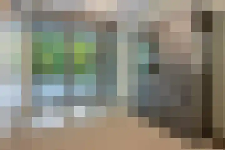 Paterslaan 5 A Rosmalen thumbnail 4