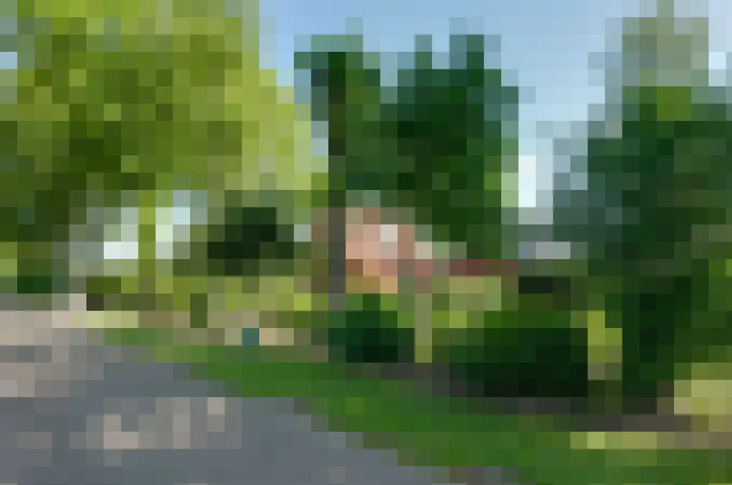 Paterslaan 59 a Gasselternijveenschemond thumbnail 19