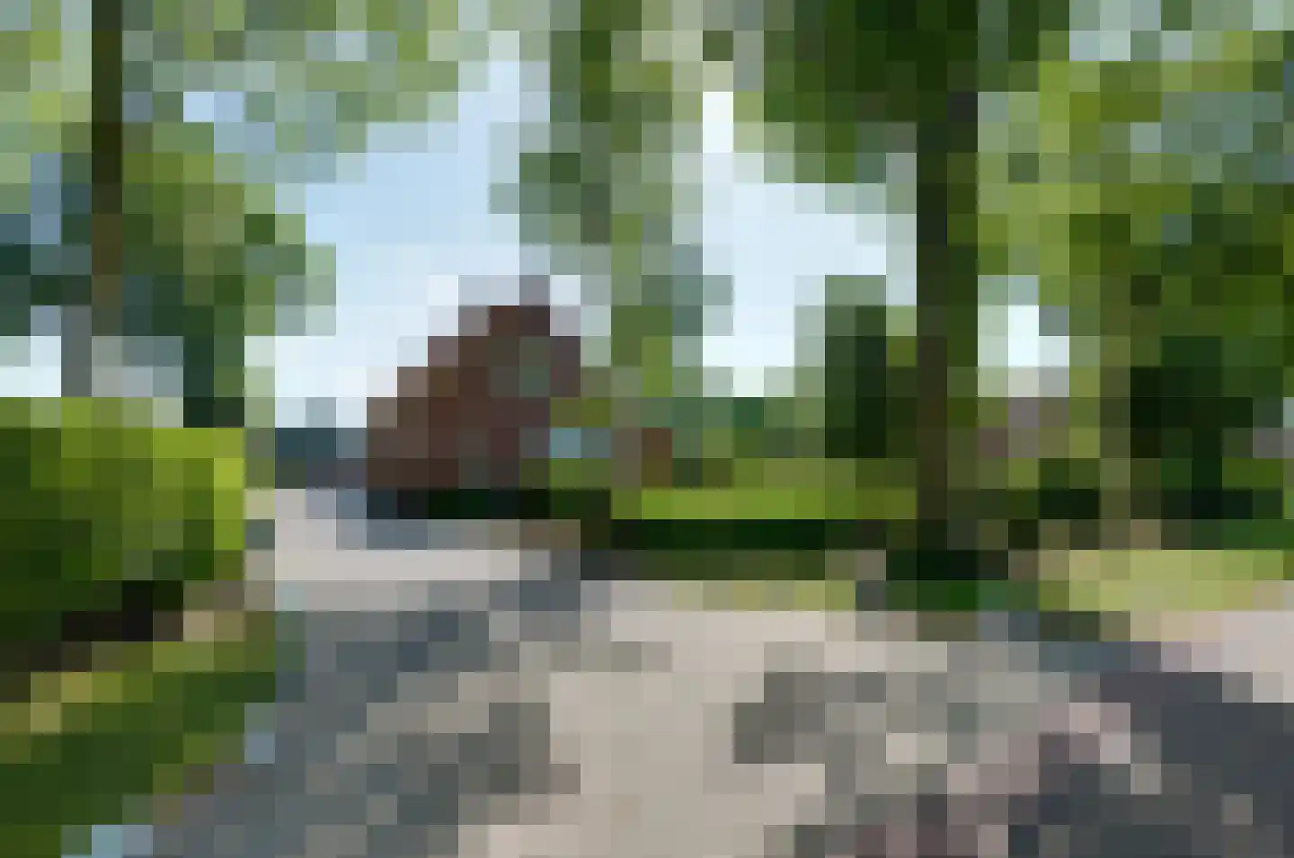 Paterslaan 59 a Gasselternijveenschemond thumbnail 22