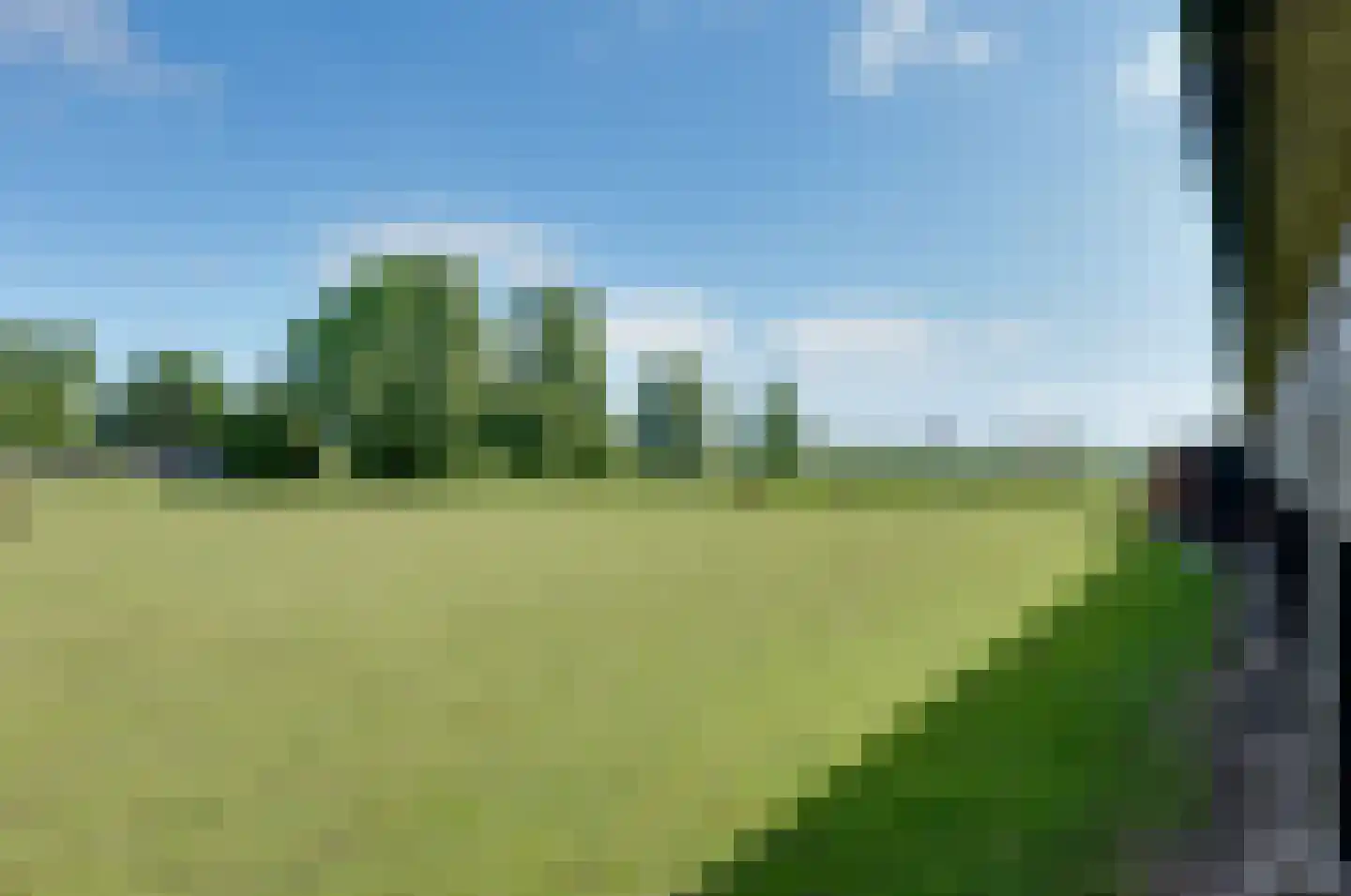 Paterslaan 59 a Gasselternijveenschemond thumbnail 39