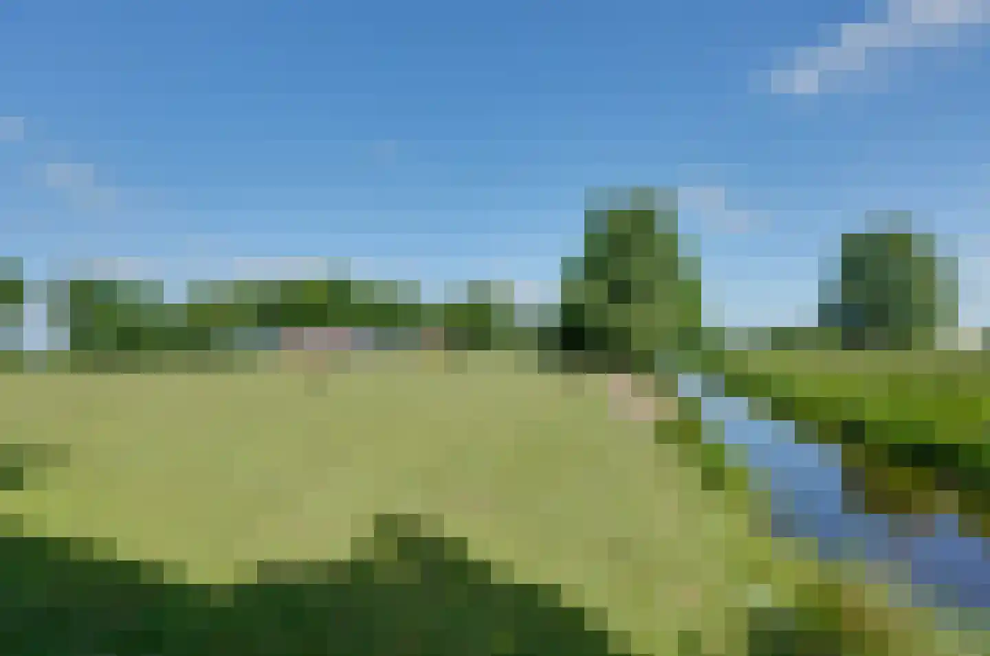 Paterslaan 59 a Gasselternijveenschemond thumbnail 41