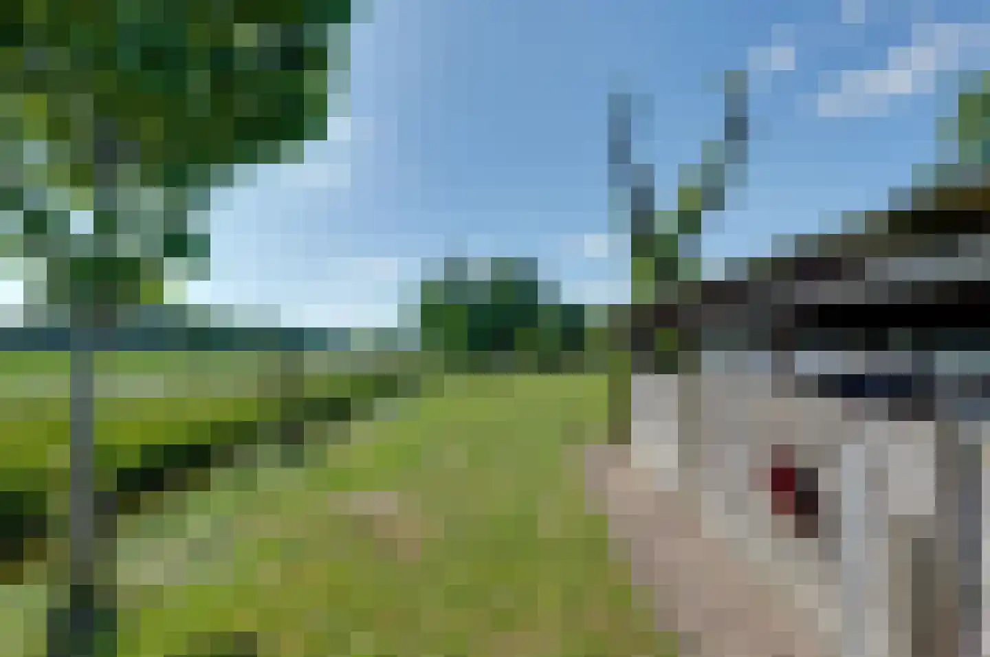 Paterslaan 59 a Gasselternijveenschemond thumbnail 44