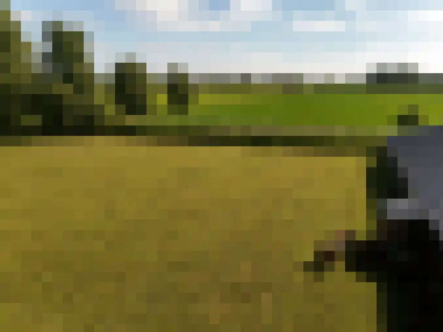 Paterslaan 59 a Gasselternijveenschemond thumbnail 5