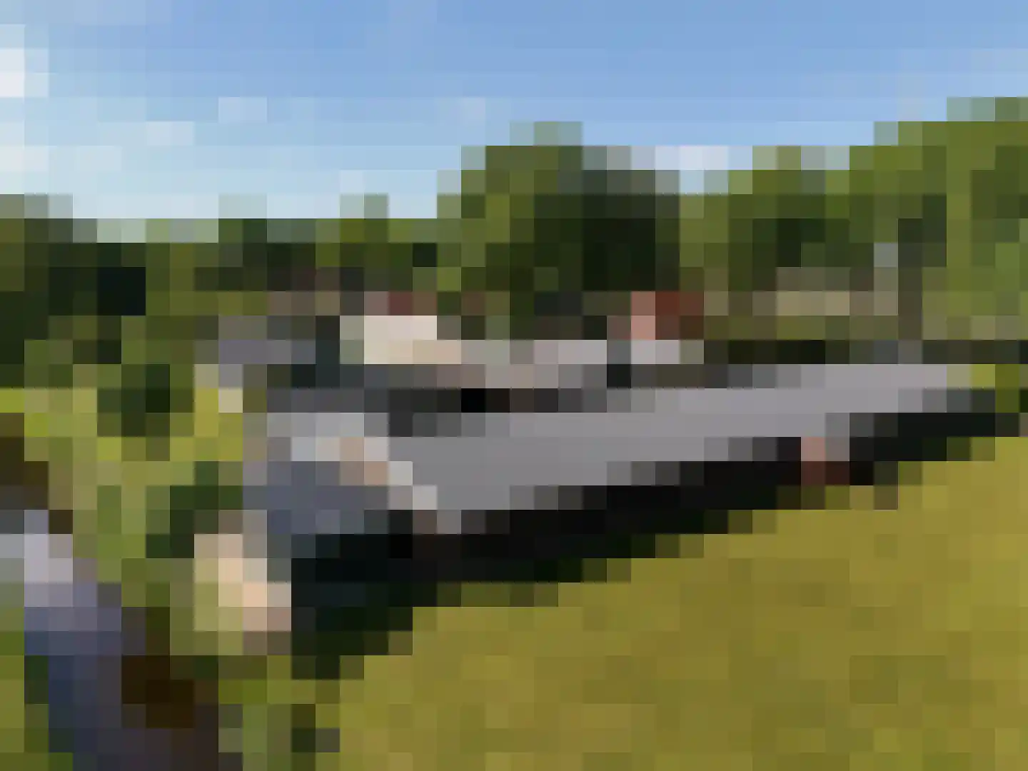 Paterslaan 59 a Gasselternijveenschemond thumbnail 7
