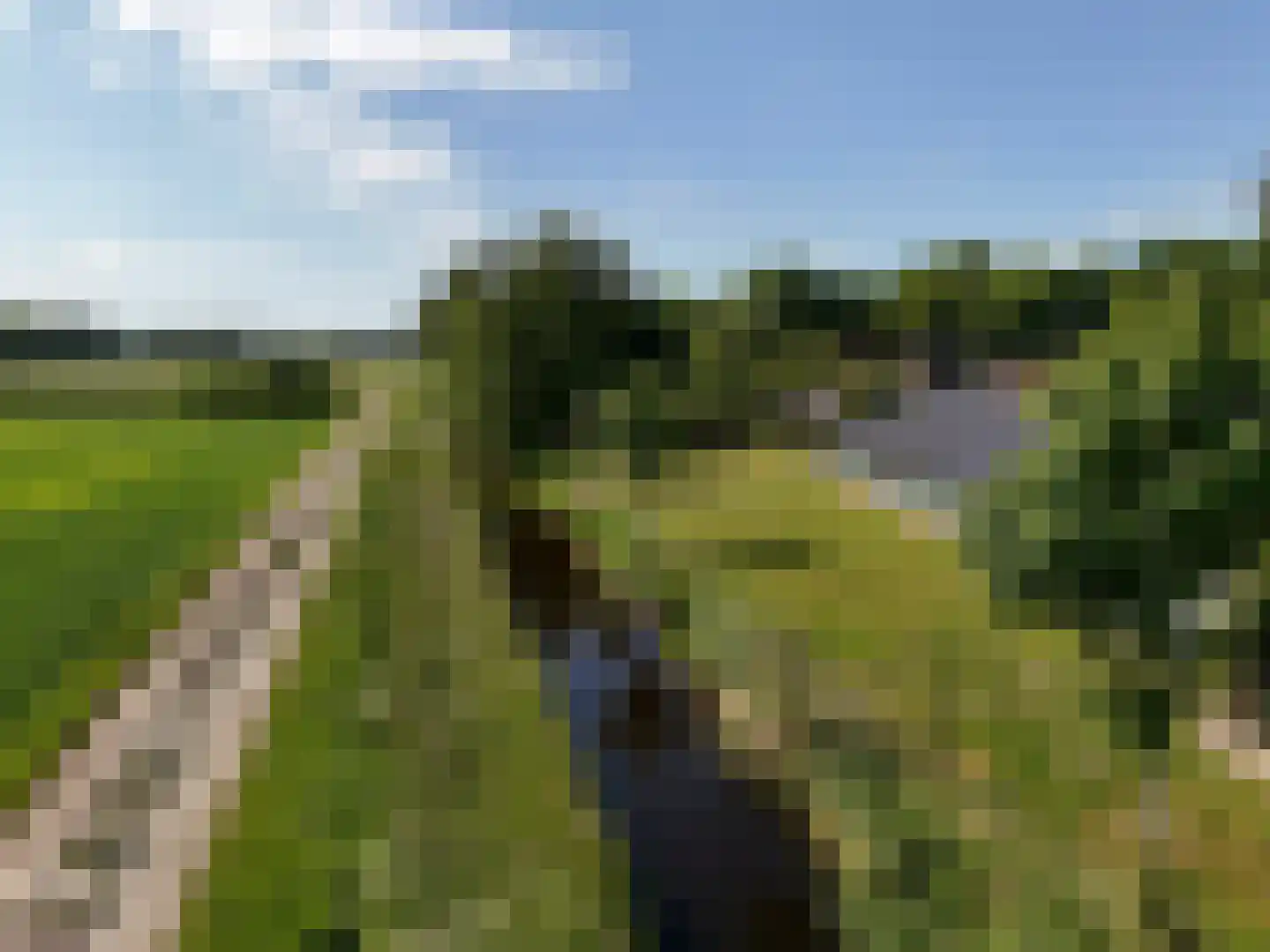 Paterslaan 59 a Gasselternijveenschemond thumbnail 9