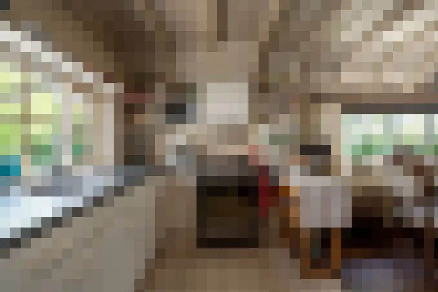 Paterslaan 63 Gasselternijveenschemond thumbnail 12