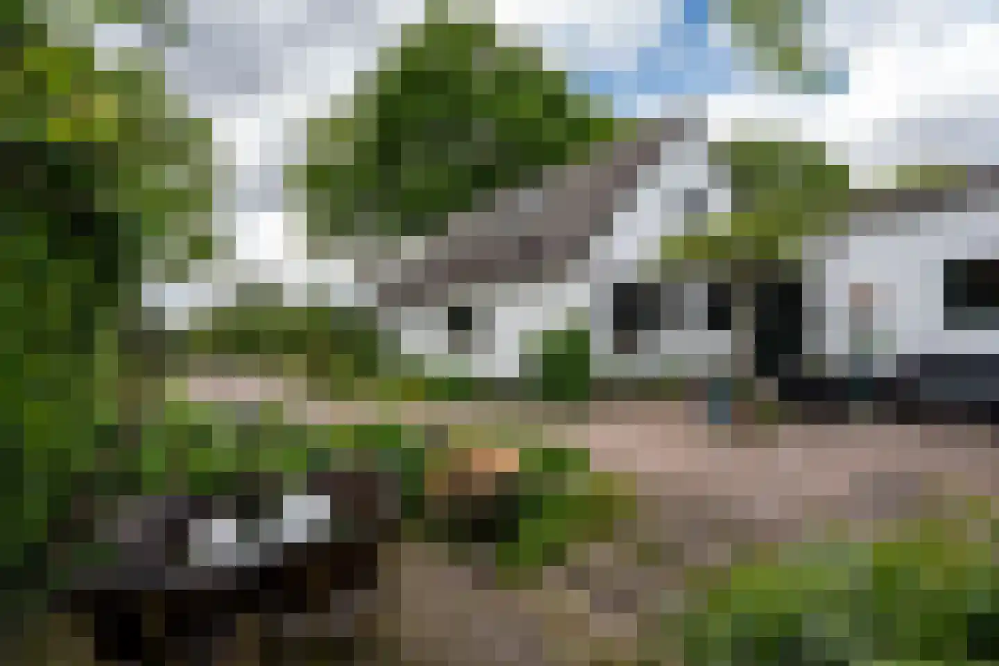 Paterslaan 63 Gasselternijveenschemond thumbnail 32