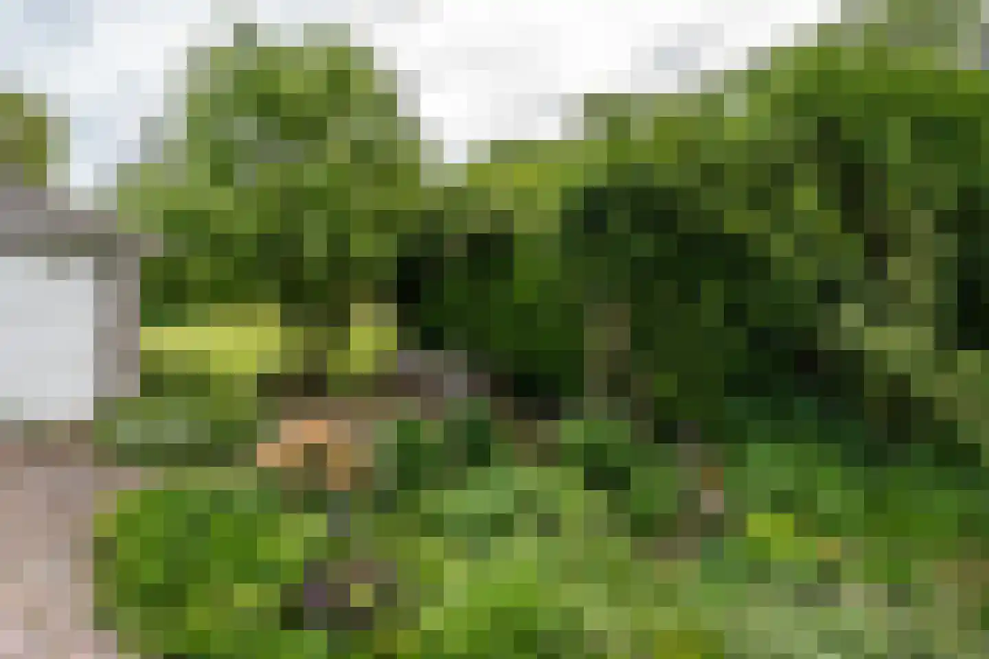 Paterslaan 63 Gasselternijveenschemond thumbnail 35