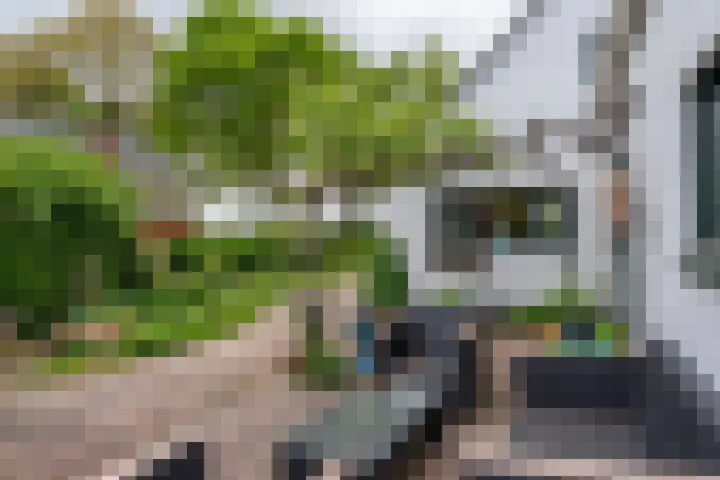 Paterslaan 63 Gasselternijveenschemond thumbnail 36