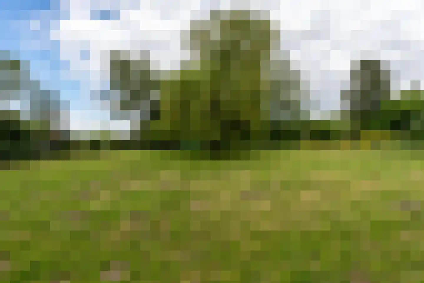 Paterslaan 63 Gasselternijveenschemond thumbnail 37
