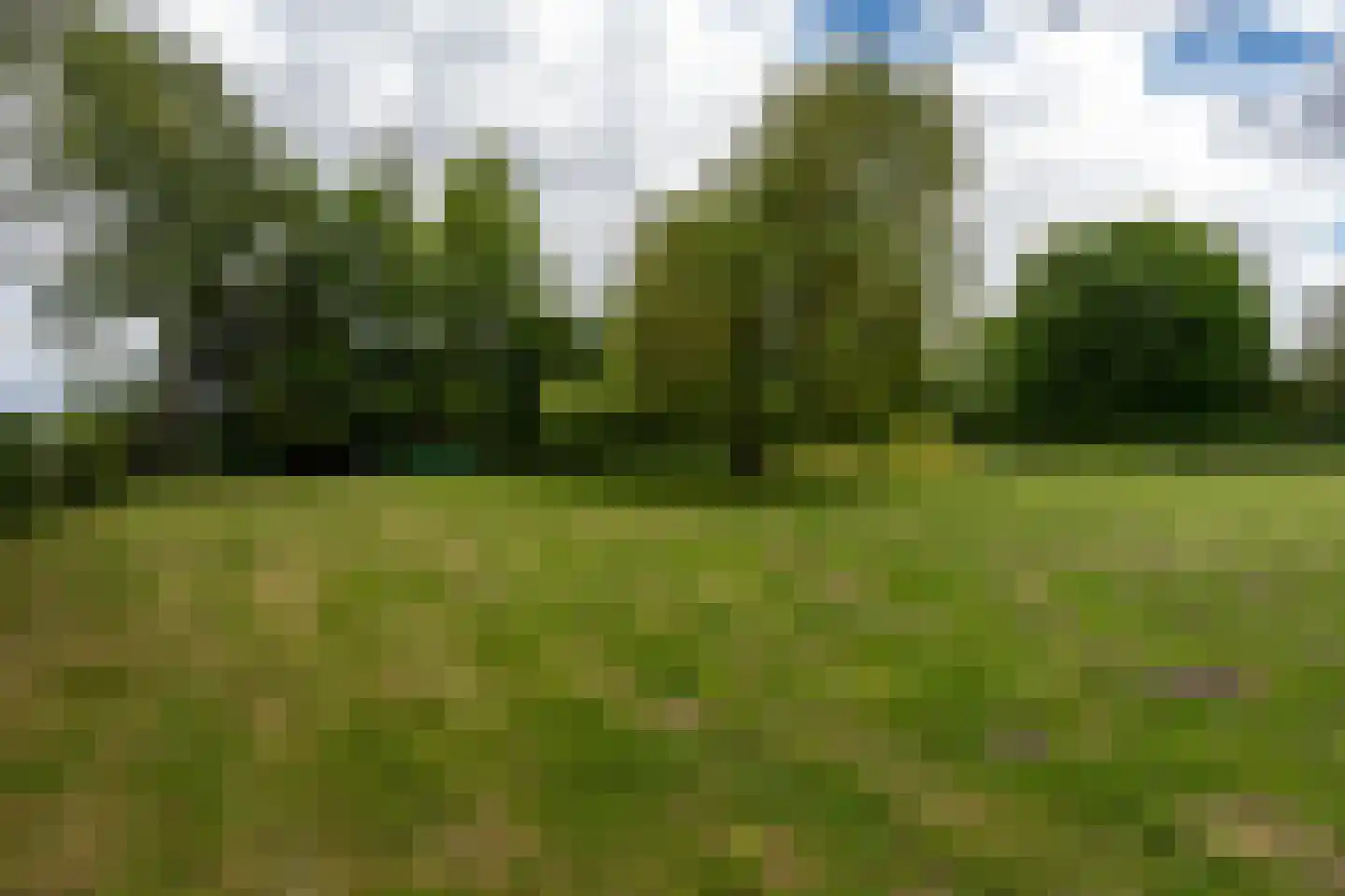 Paterslaan 63 Gasselternijveenschemond thumbnail 38
